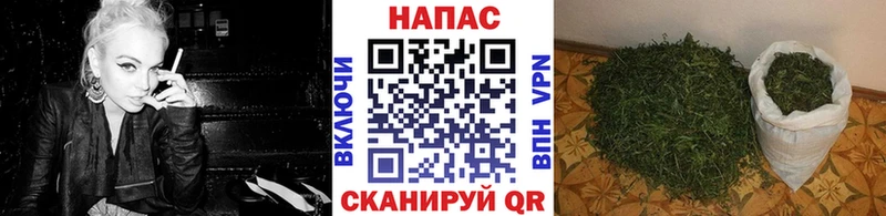 Бошки марихуана MAZAR  Иваново 
